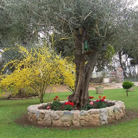 Oda ve Kahvaltı Granja Rosa